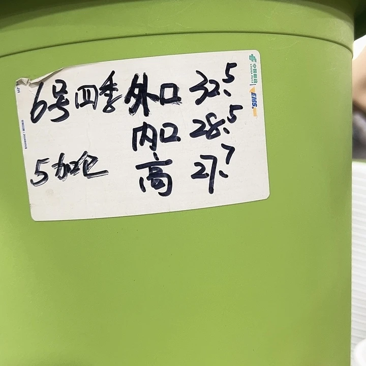 特价6四季口32.5高28米色无托7只