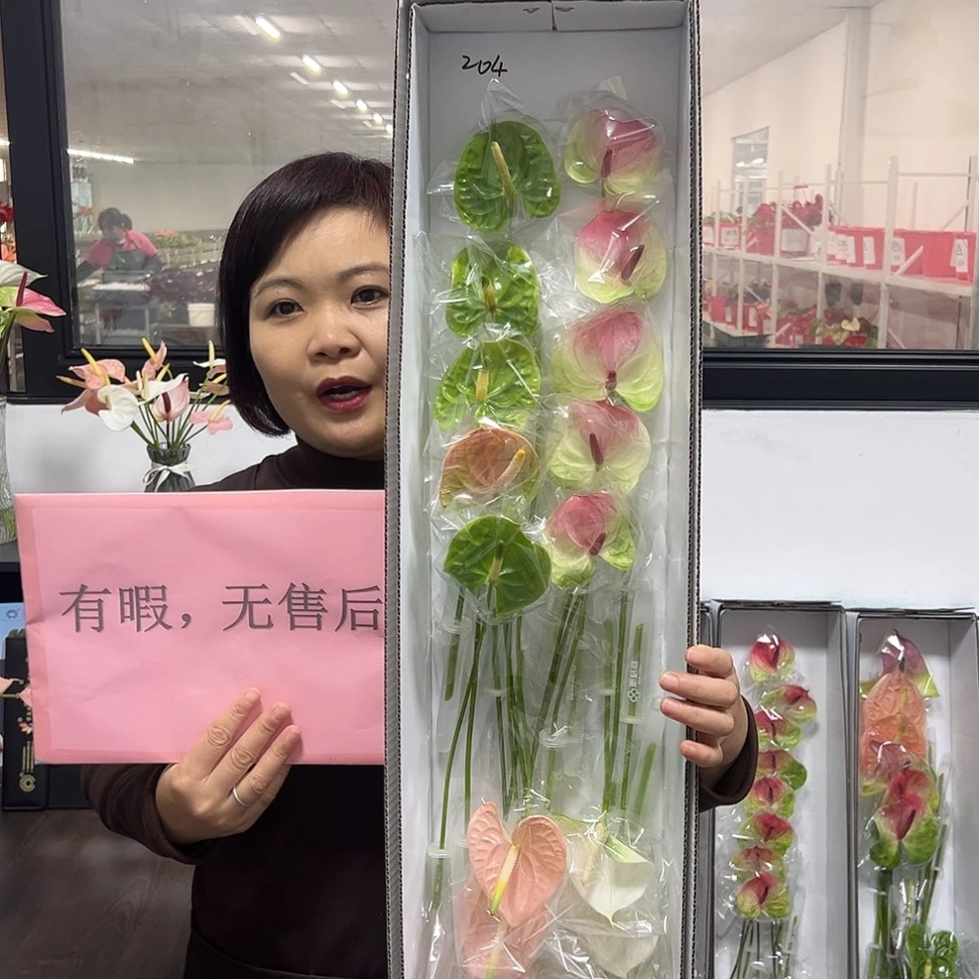 完全开放混色-20枝装无售后款204
