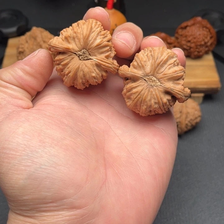 文玩核桃把件白狮子44