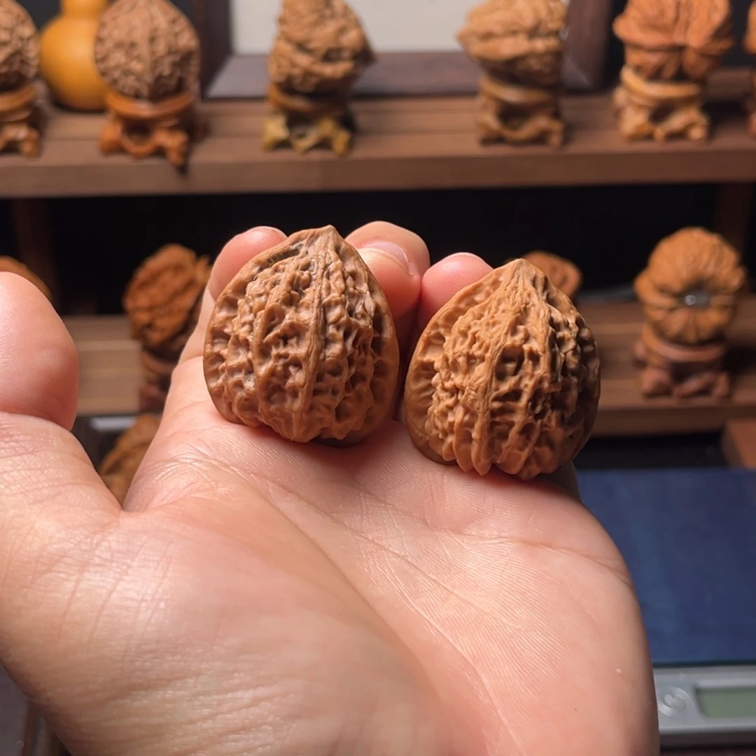 核桃35mm全品金牛