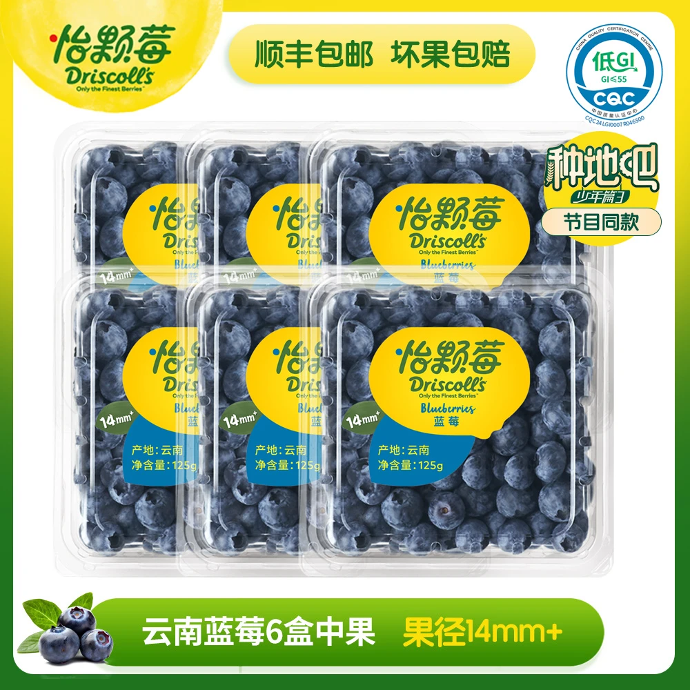 Driscoll's怡颗莓云南蓝莓（中果）6盒*125克/盒 种地吧同款