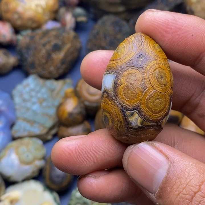 木狙****)四子王旗的历史