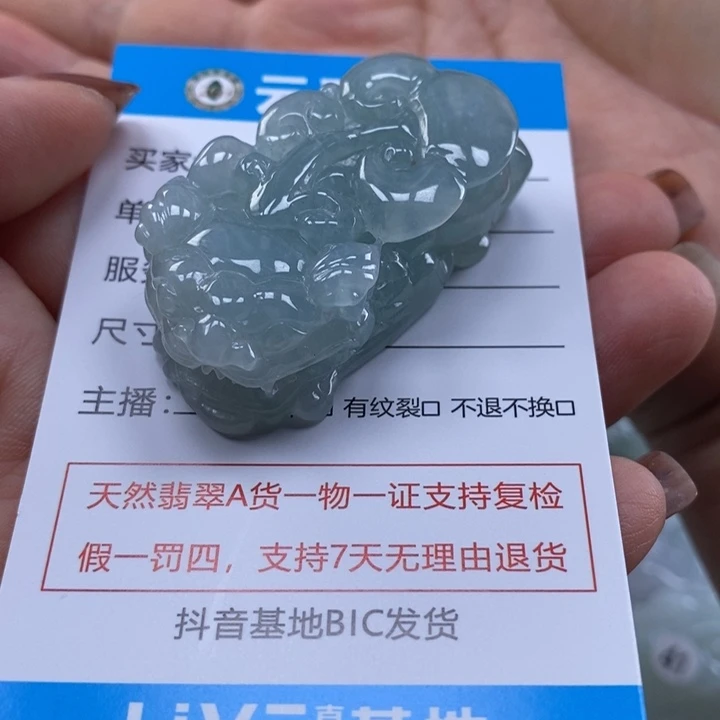 翡翠未镶嵌颈饰多人貔貅