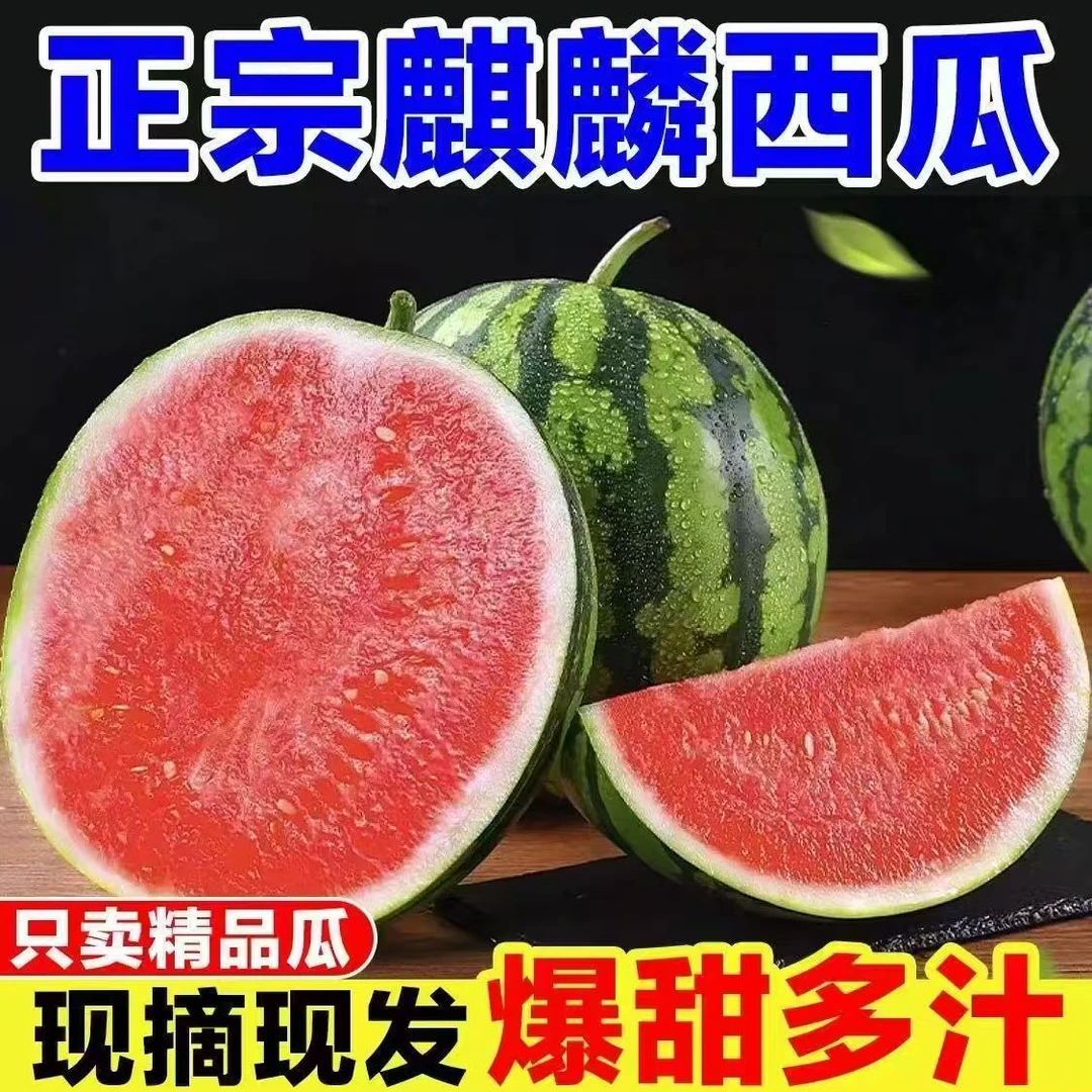 正宗精品麒麟西瓜脆甜爽口现摘现发麒麟瓜汁水充足产地直发大