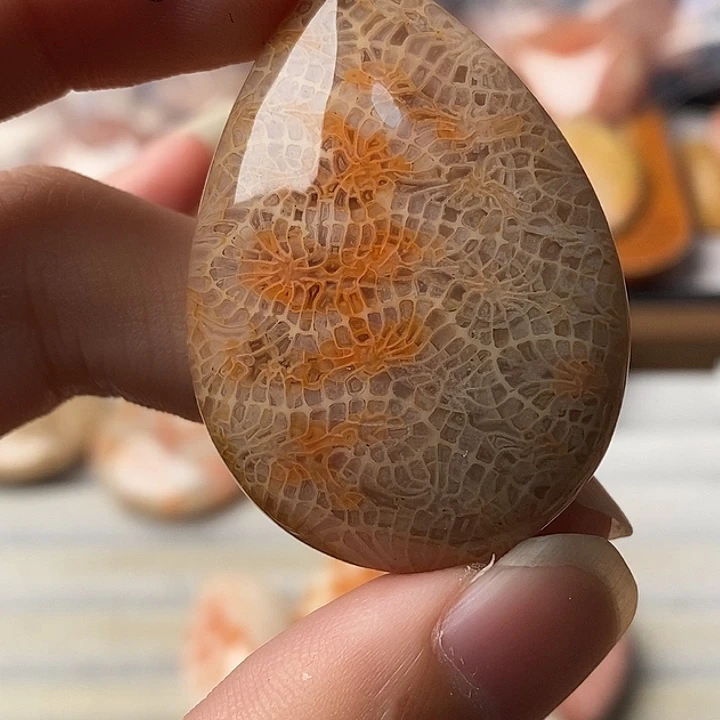T***y硅化珊瑚未镶嵌颈饰