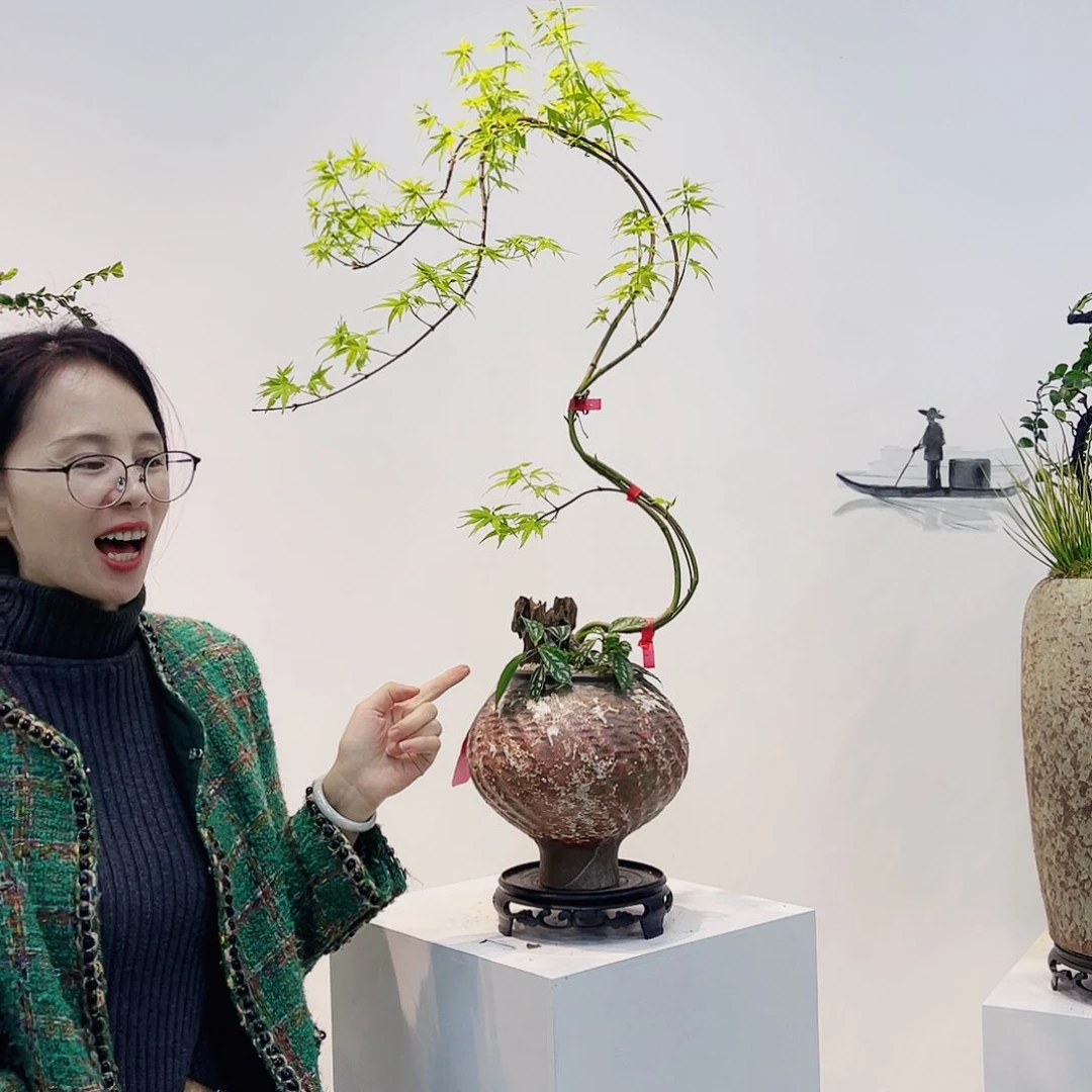 高端绿植一物一拍