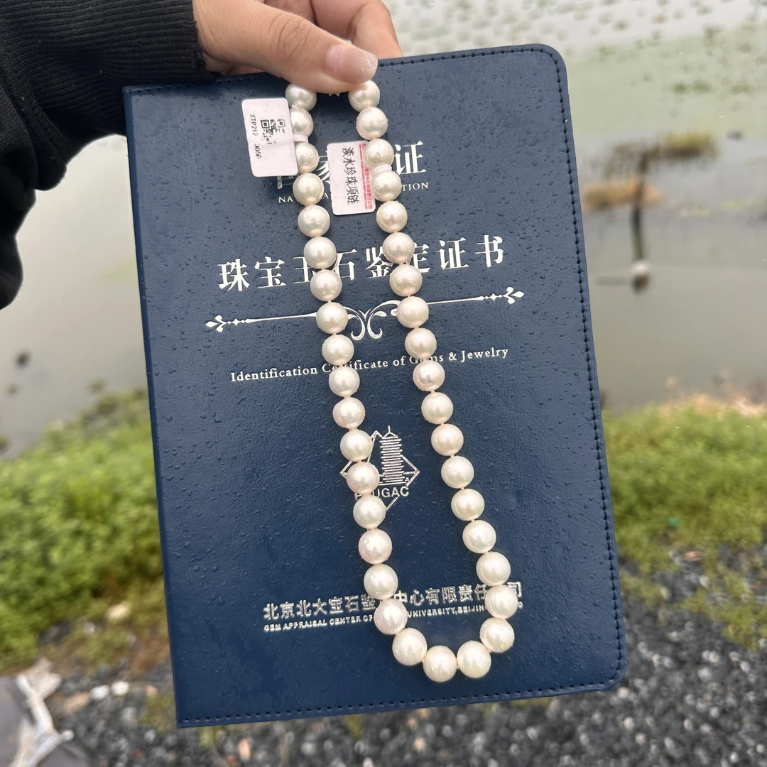 【传承系列】淡水珍珠/无核白珠项链带北大大证/10-12MM/S925银