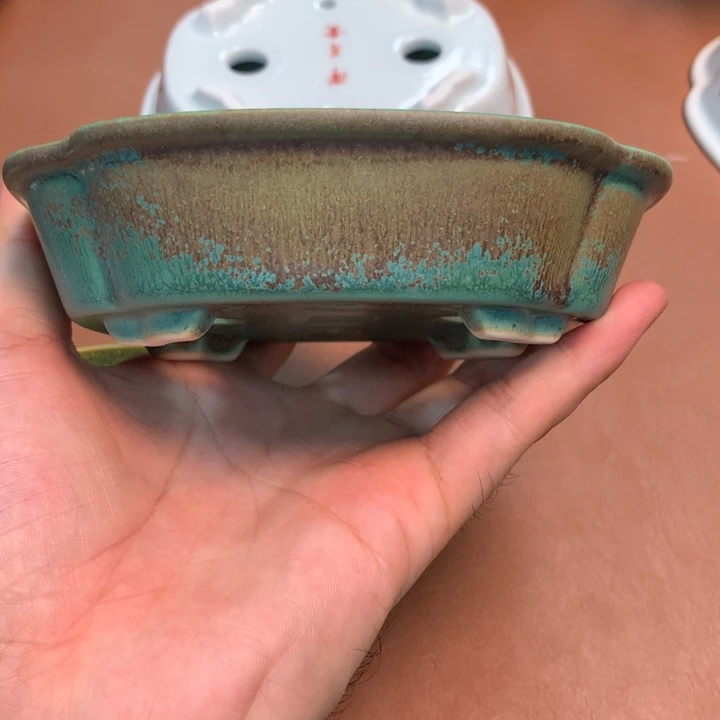 的微博视频我想我是