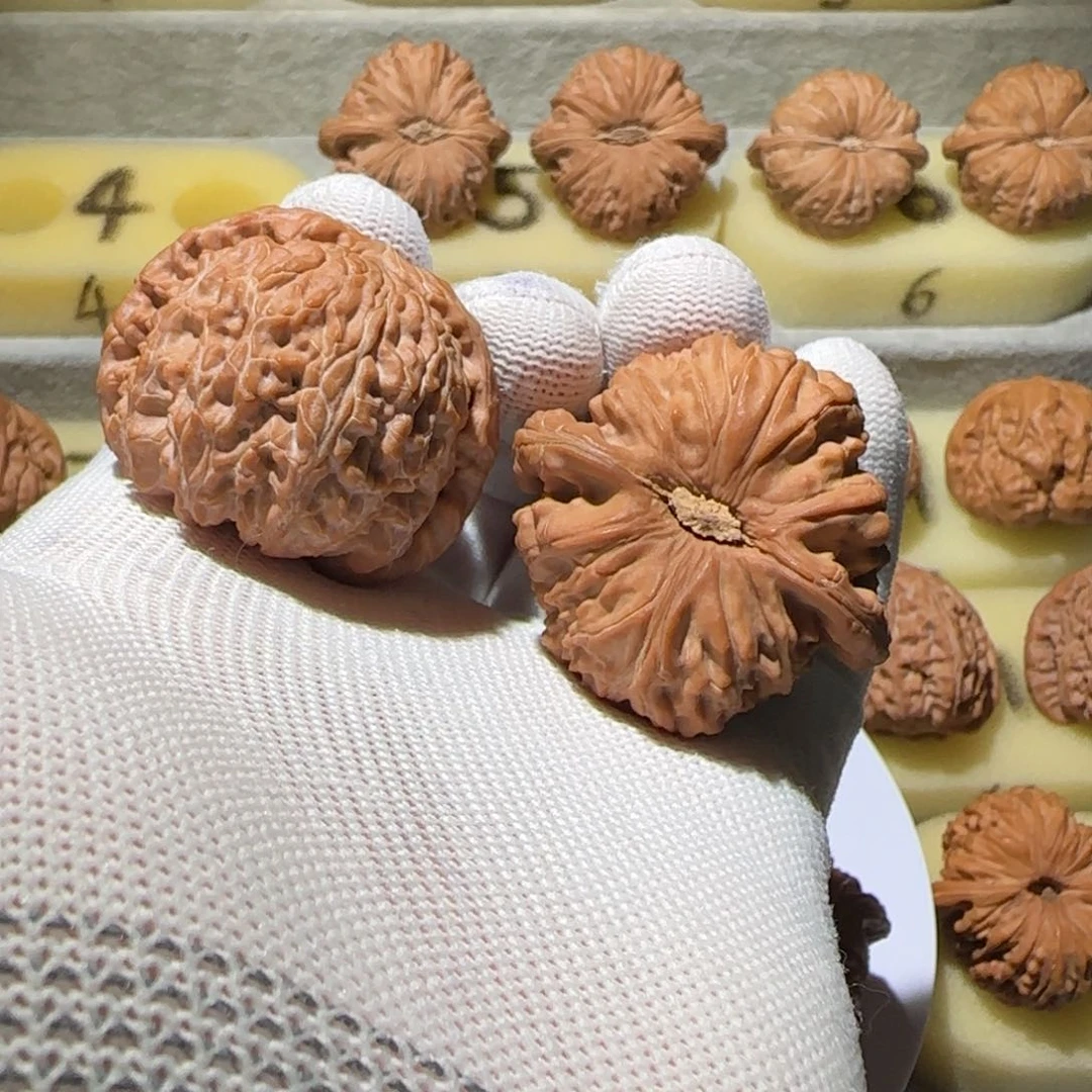 文玩核桃把件4号42大眼睛闷白