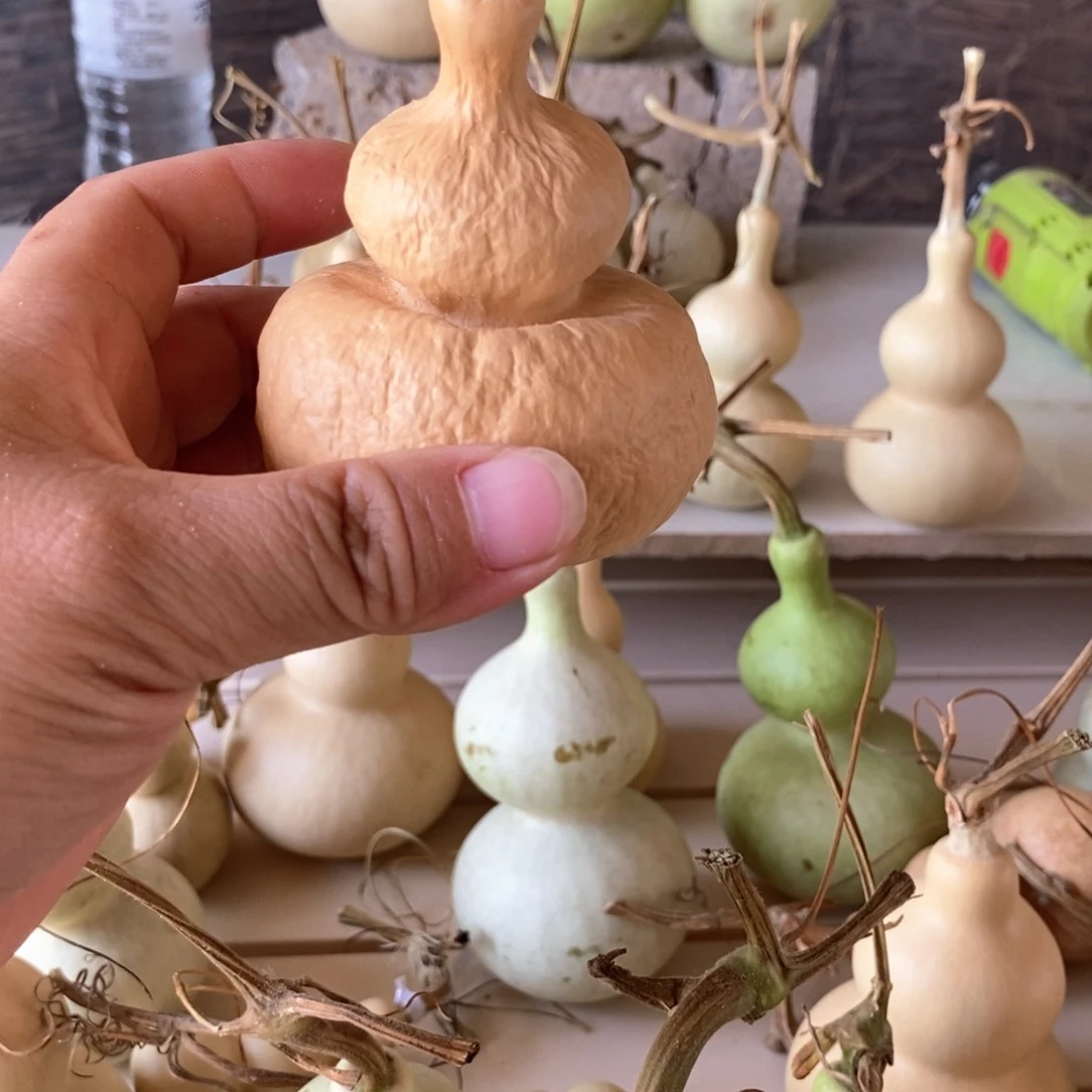 佐*尔葫芦葫芦葫芦葫芦葫芦