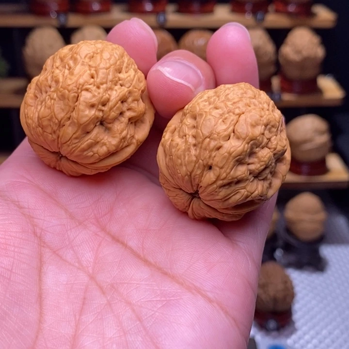 木质类云铁帝王蝉60号