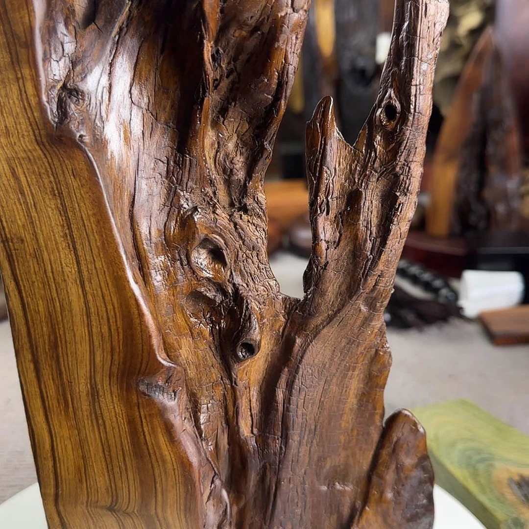 大果紫檀（缅甸花梨）霸*
