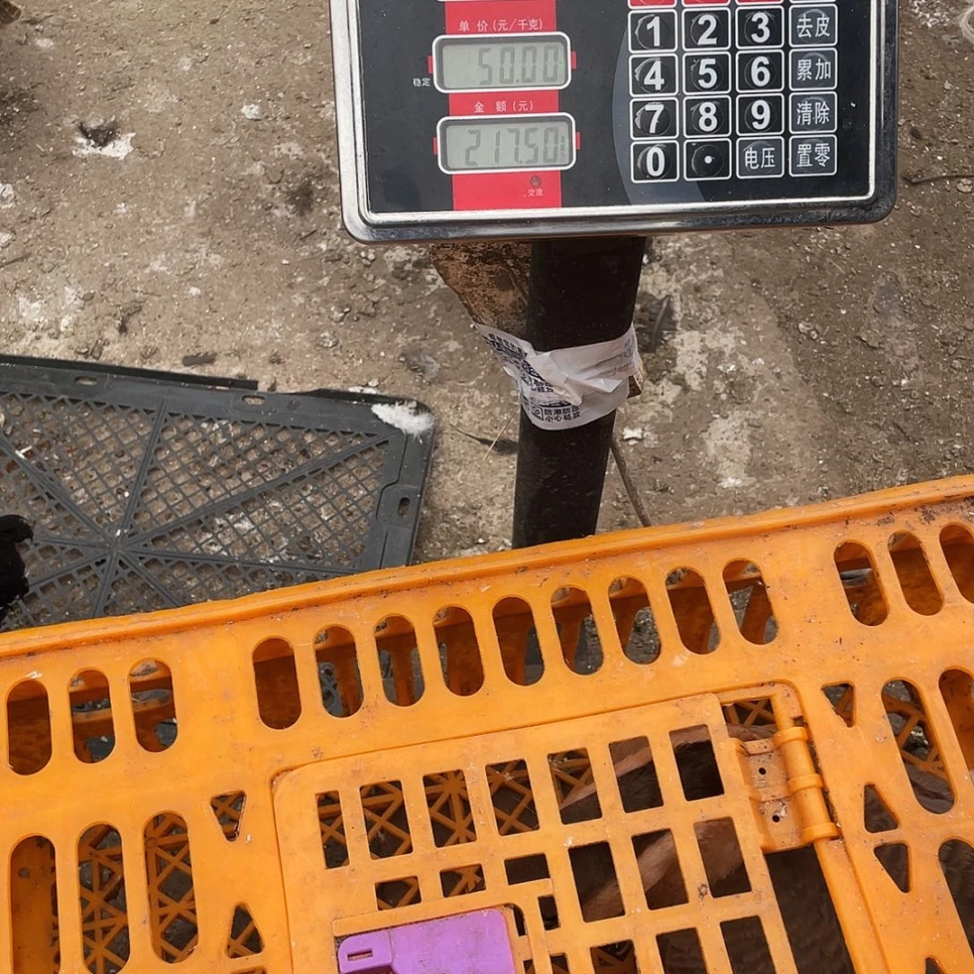 211111111中国大陆包装3