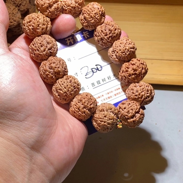 手串金刚菩提300号尺寸23矮壮