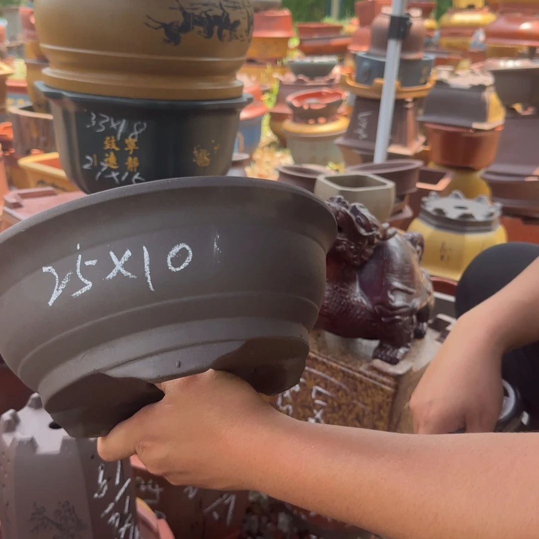 紫砂花盆紫砂花盆花盆盆景盆栽