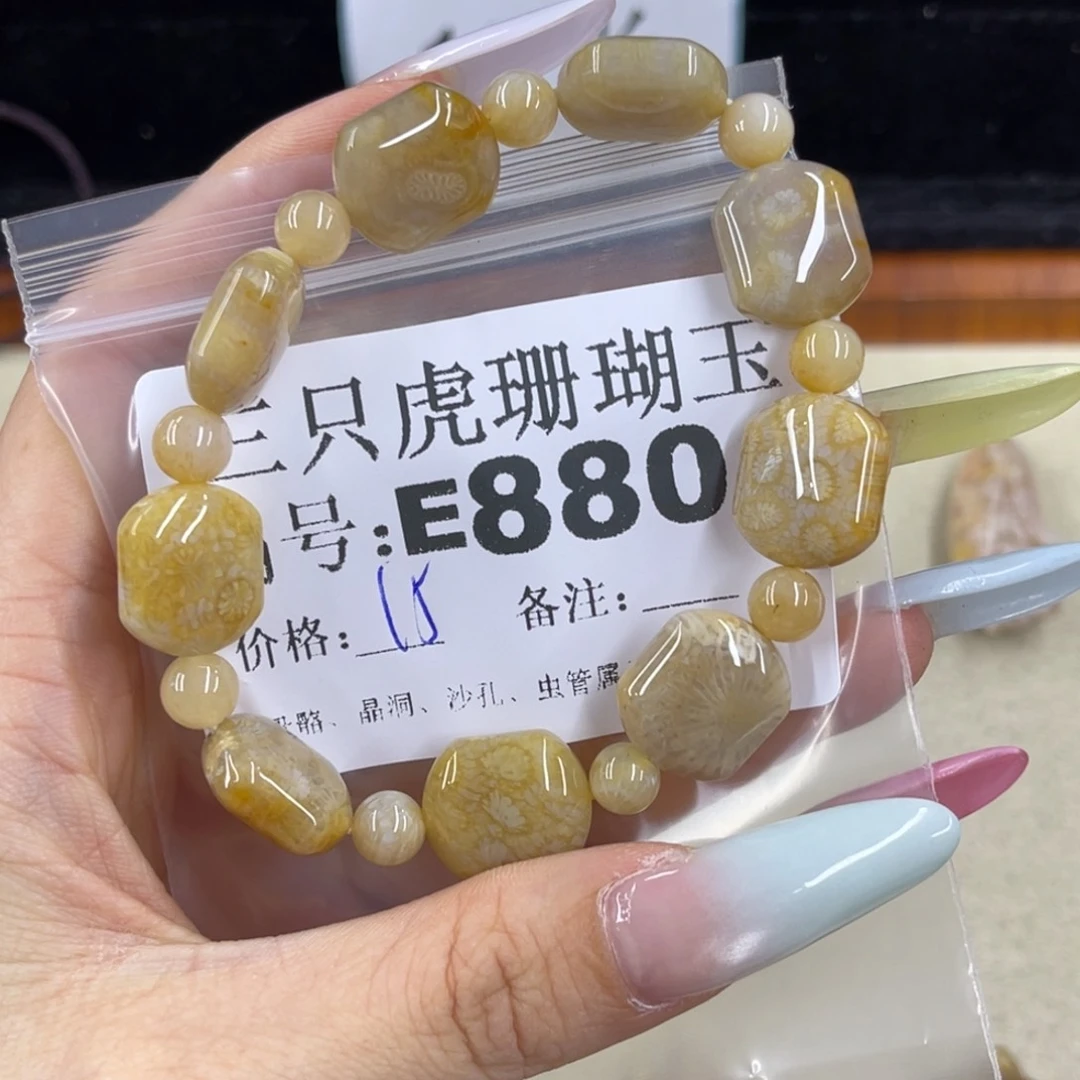 ****️硅化珊瑚（珊瑚玉）h未镶嵌