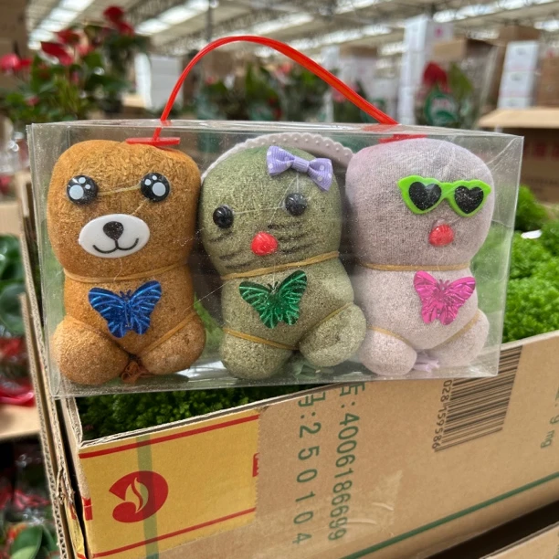 头上长草草头娃娃绿植桌面水杯儿童好养长草植物拍一发三