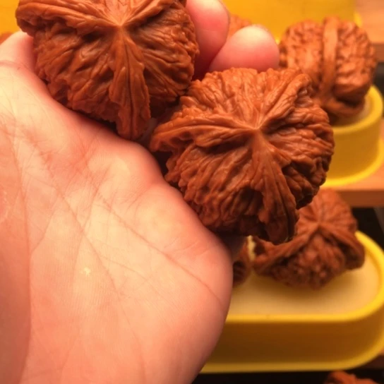 李***刚核桃核桃核桃核桃核桃