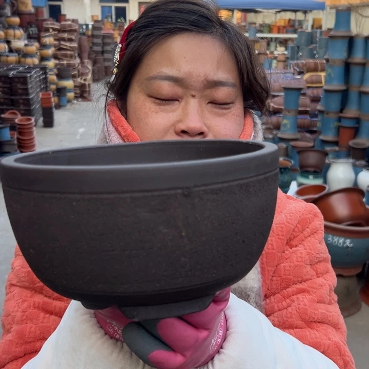 拉毛绿萝小一个花盆花盆花盆