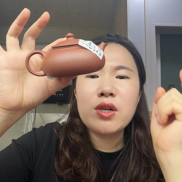 茶壶紫砂原矿半手工紫泥寒江200cc