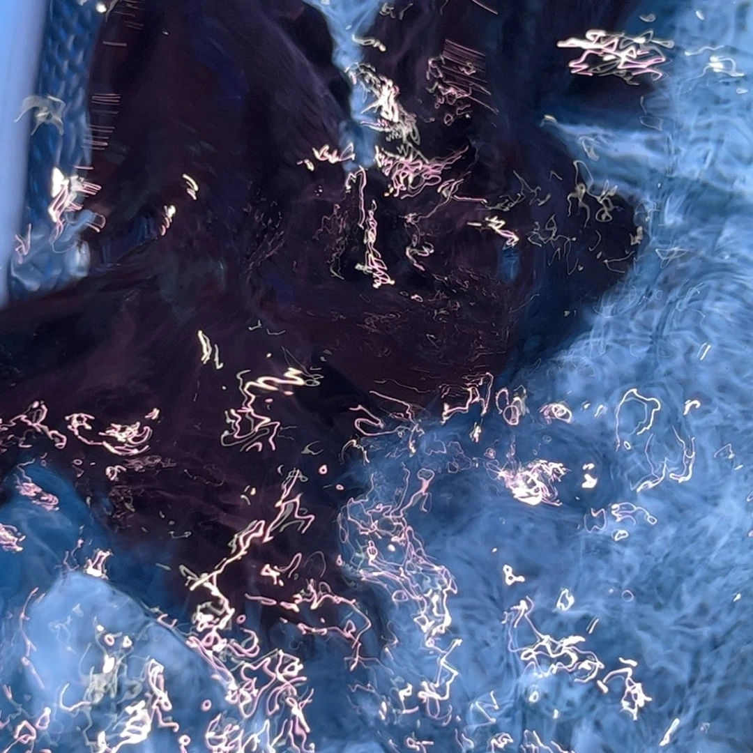 狮头鱼直播间一物一拍