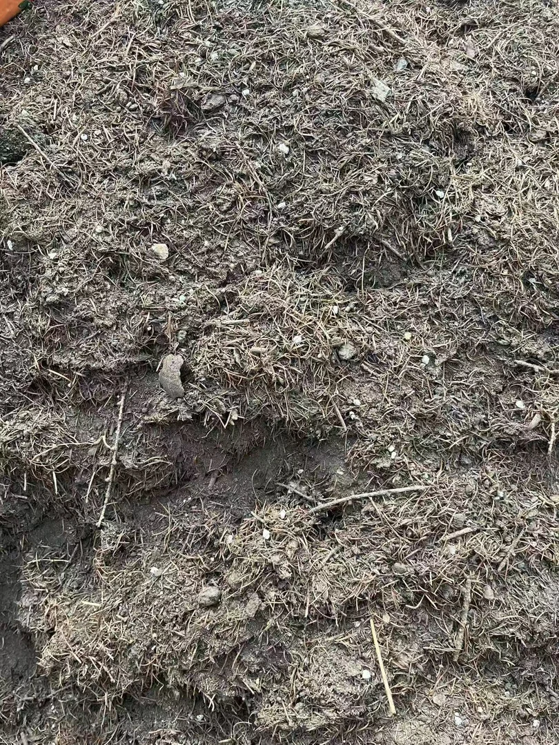 自家种植用的营养土，松针、草炭、化肥混合土。已经加过杀虫药的土