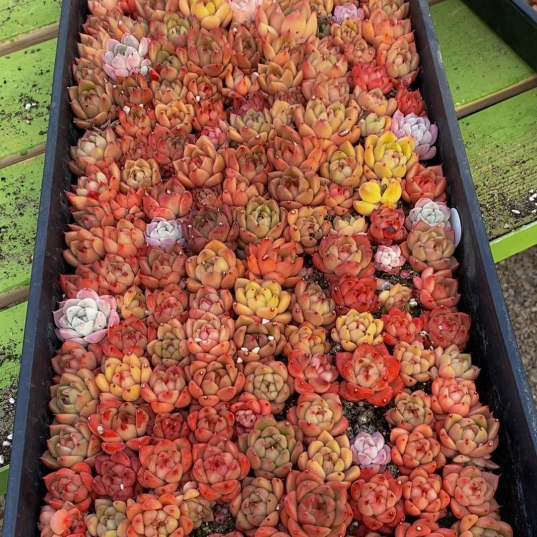 164多人在一起的时候就这样