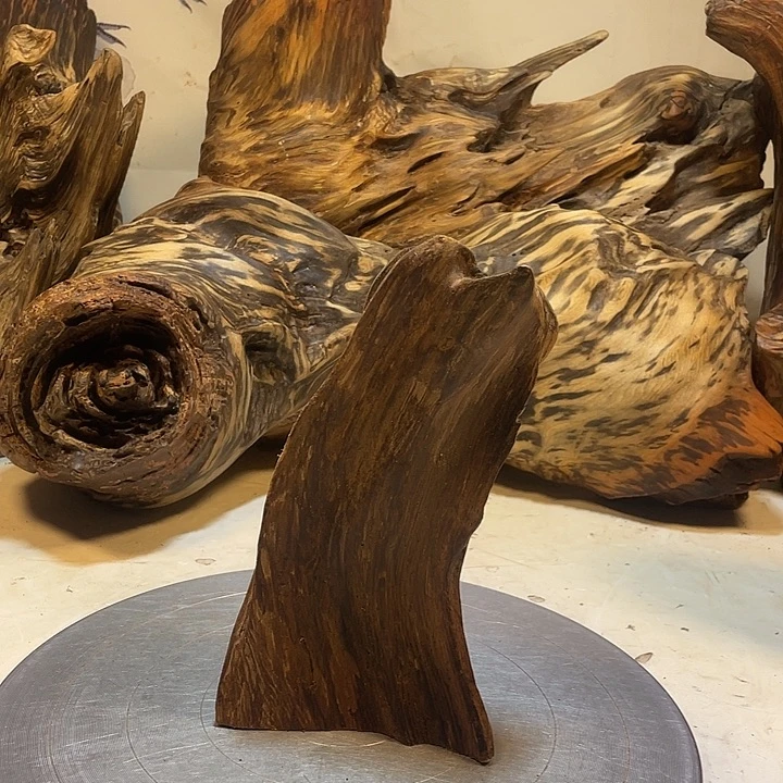 星***火木直播间一物一拍