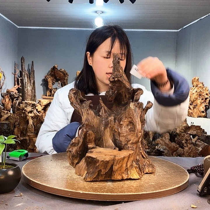 茶盏花*874株木随行的小根艺