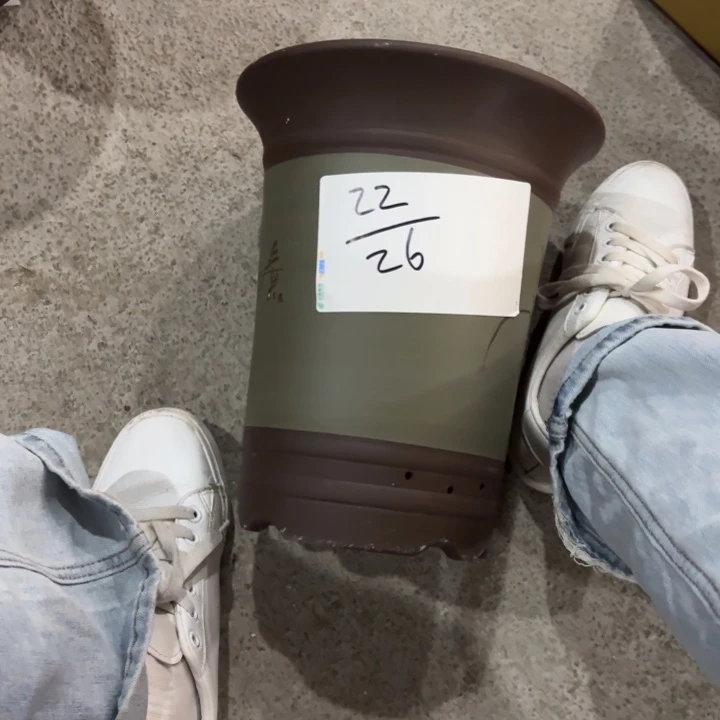 花盆紫砂紫砂的颜色