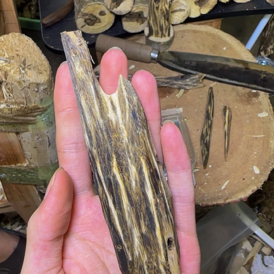 沉香虫漏原材料发一份