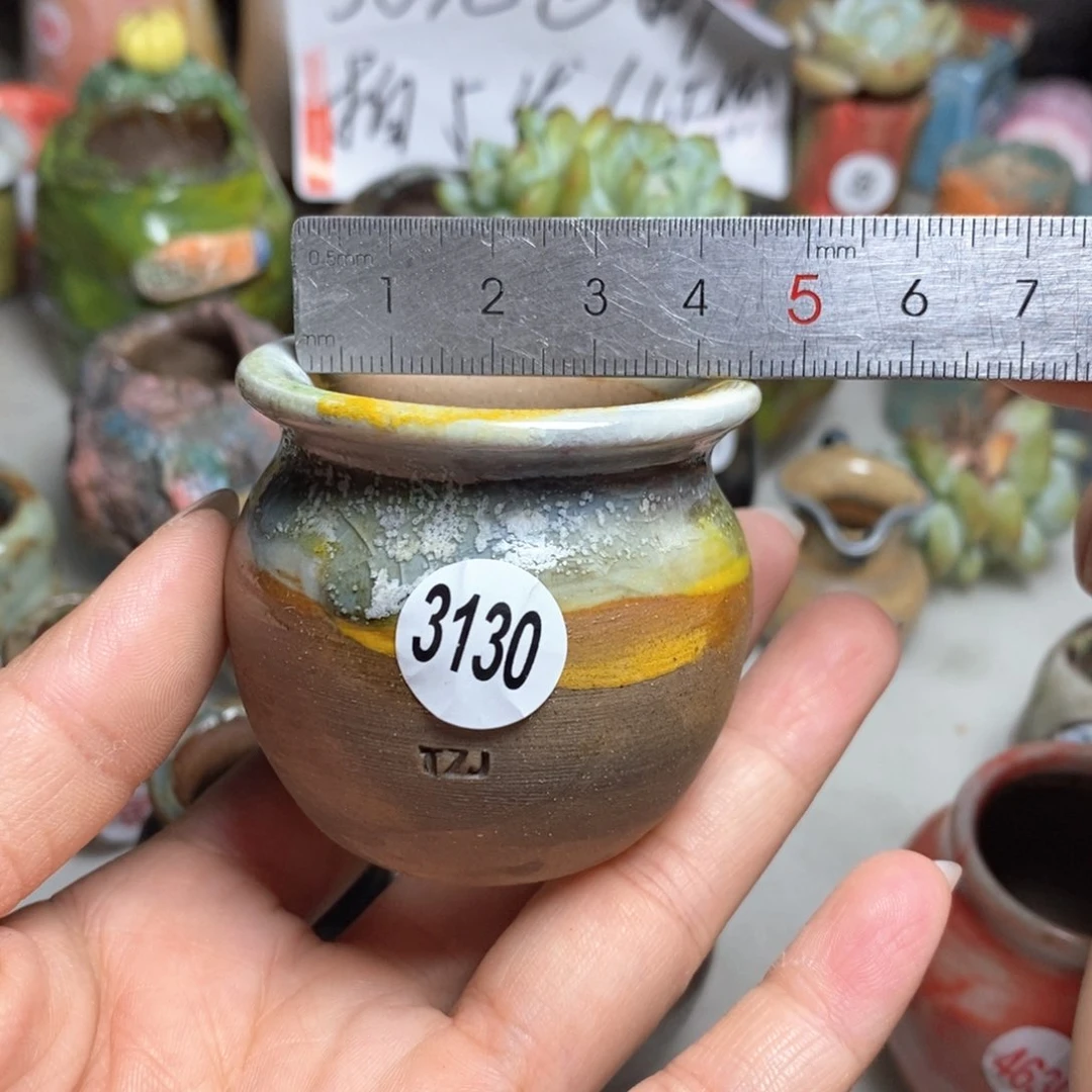 拍5送一个小礼物