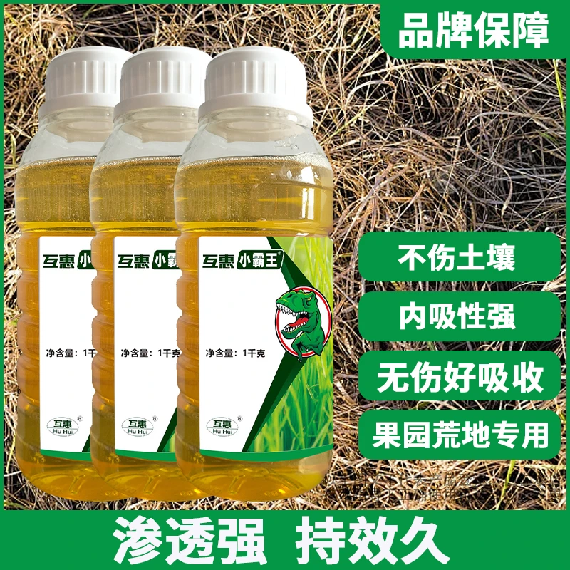 果园茶园小飞蓬芦苇草通用防治高生长长效绿色叶面肥