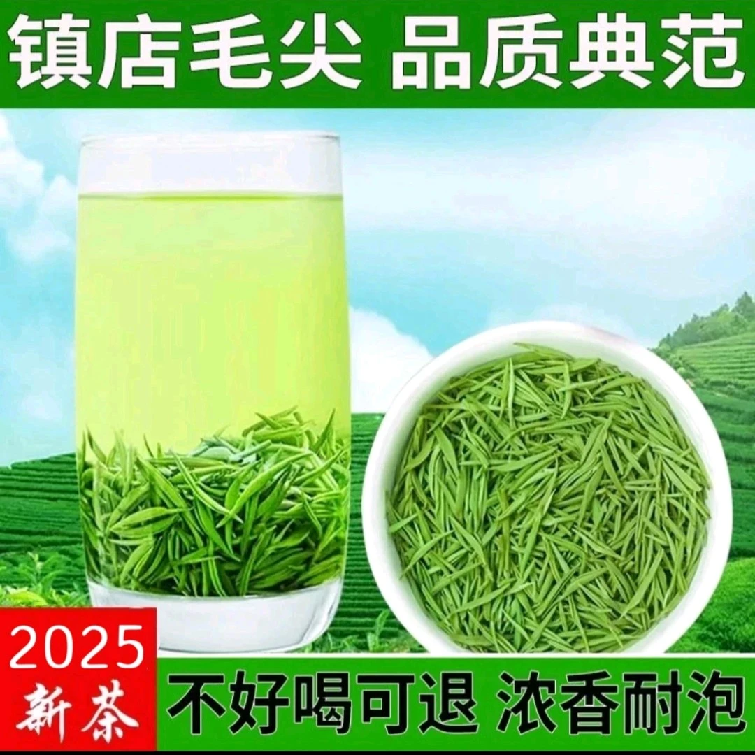 【镇店之宝】2025正宗信阳绿茶明前全芽高货镇店之宝信阳茶叶