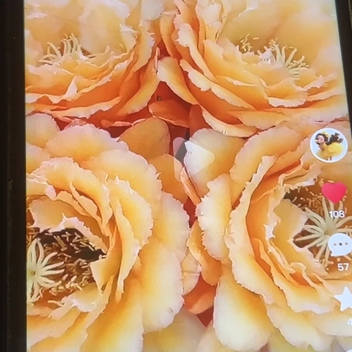 清清34侧牙瑕疵有黑点