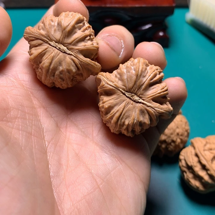 把件文玩核桃k**o白狮子