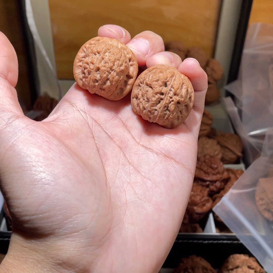 葡***-34尺寸全品无修血麒麟