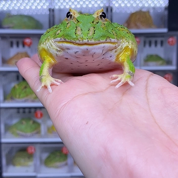 特价秒杀现货特价