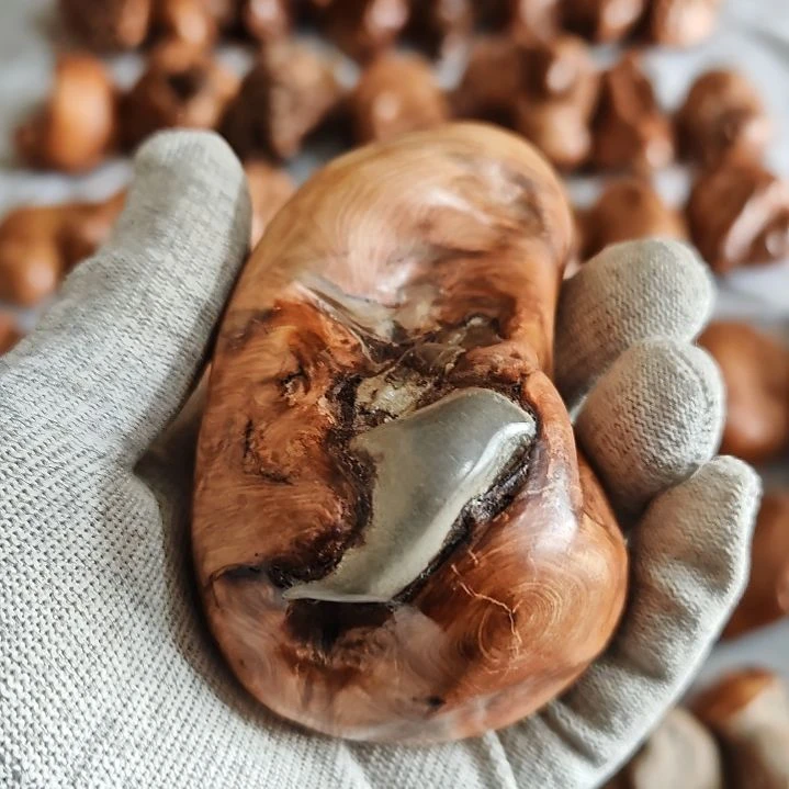 热***鱼柏木崖柏木陈化料抱石手把件