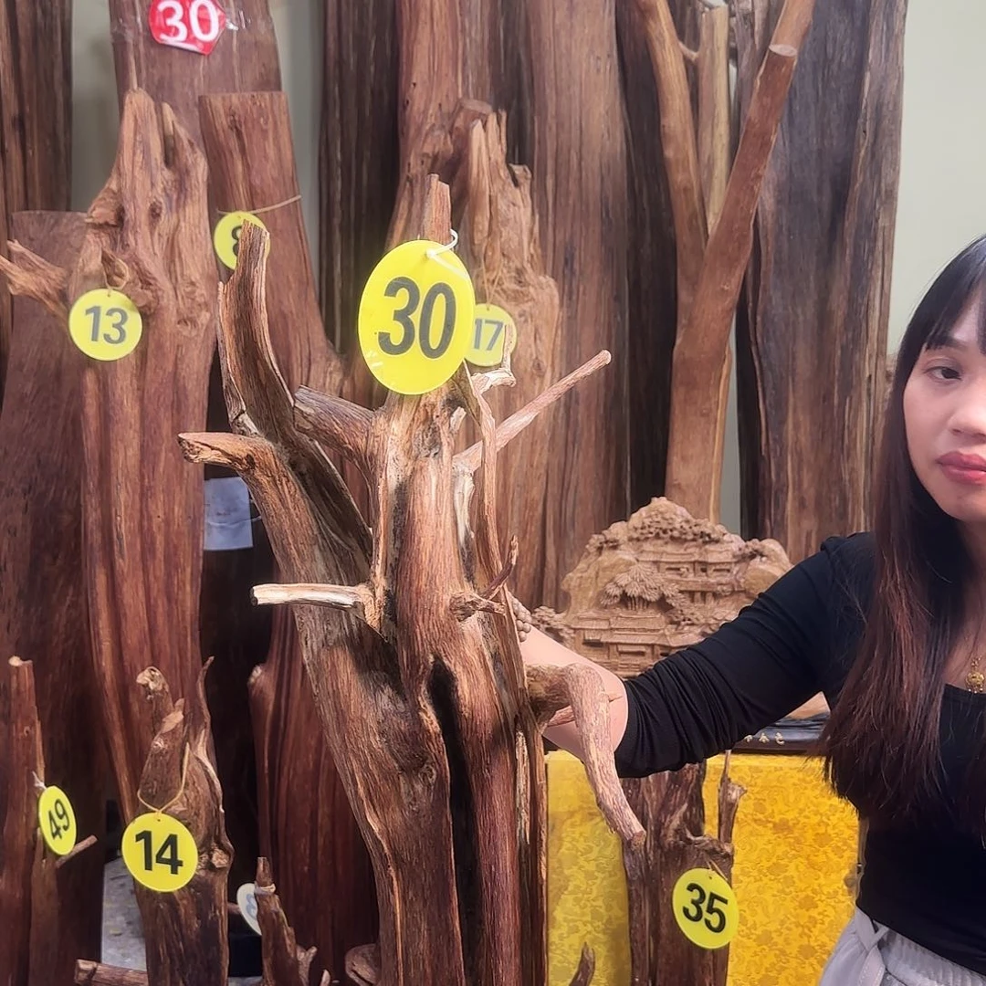 沉香沉香碎屑天然沉香原材料香料熏料