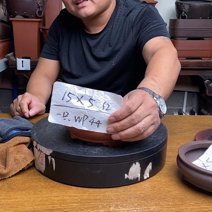 紫砂货号一只WP44