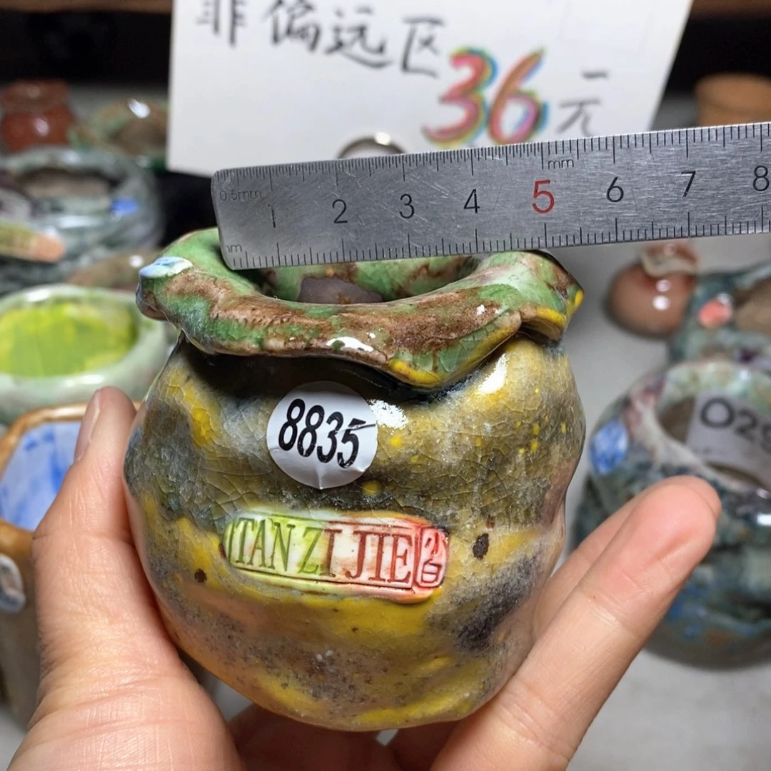 花盆双12特价活动不退不换原价88
