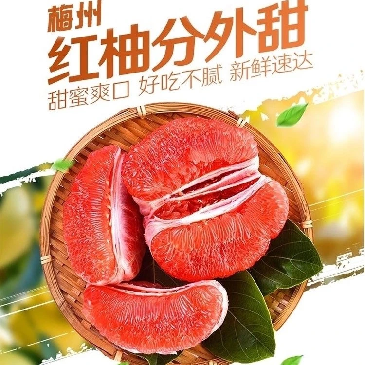 【倒计时一小时】正宗梅州红心蜜柚新鲜水果当季红肉蜜柚黄金酸甜比