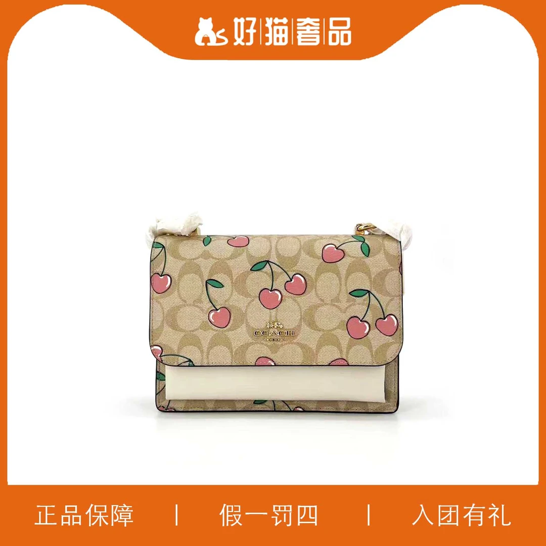 95新 COACH/蔻驰 蔻驰樱桃印花风琴包/F0920/22X16X7