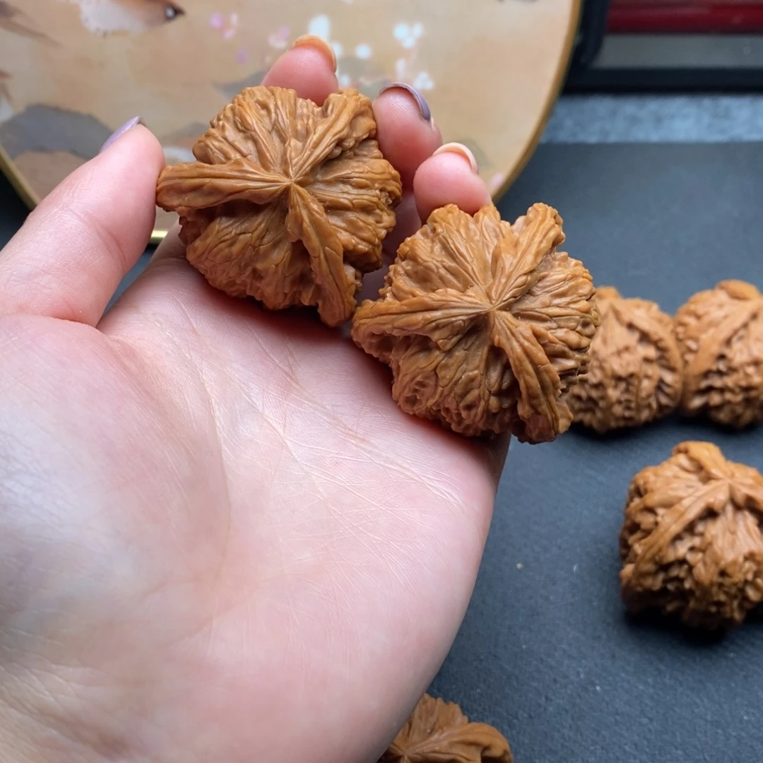 路***下白狮子111111111111