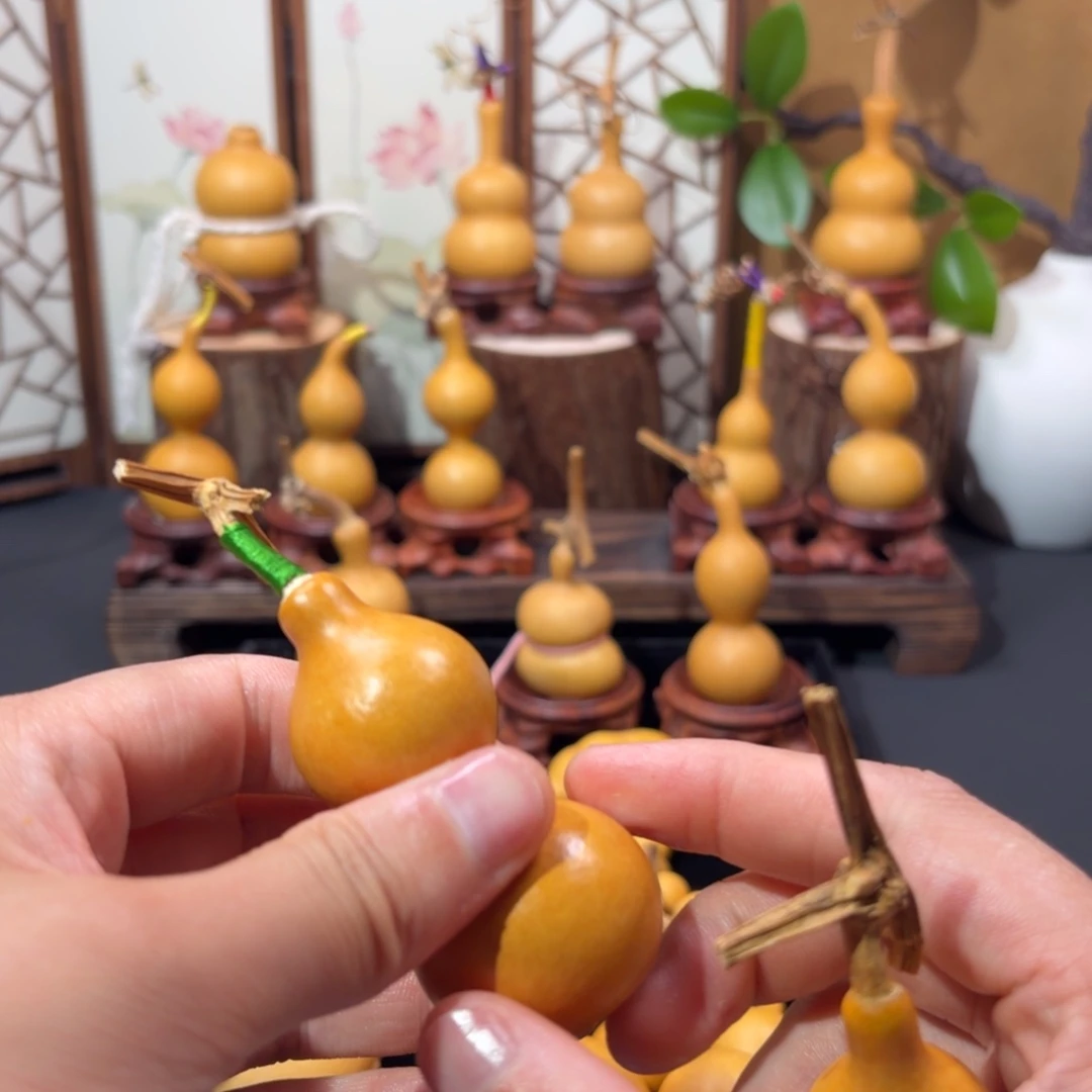 初***心葫芦葫芦葫芦葫芦葫芦葫芦