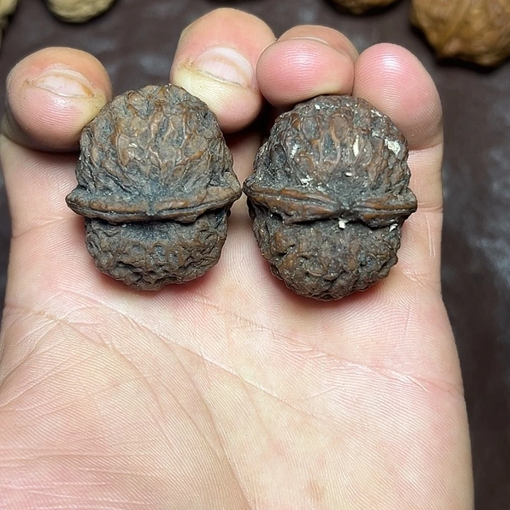 把件文玩核桃14号火焰灵姬