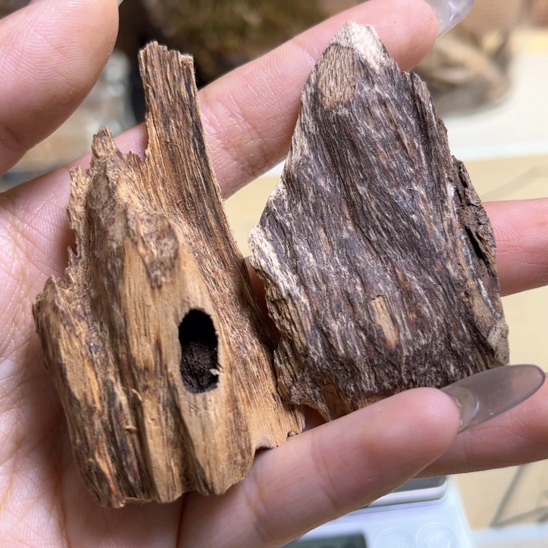 香榧木海南大山虫漏11克中场福利