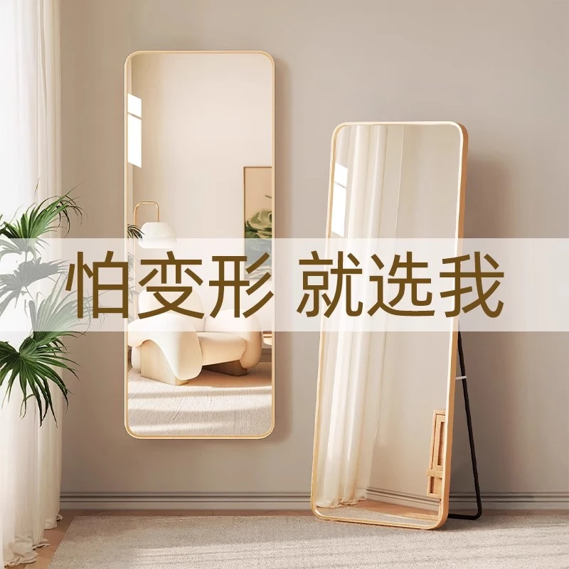 全身镜高级感落地镜家用网红女生卧室穿衣镜子壁挂贴墙玻璃试衣镜