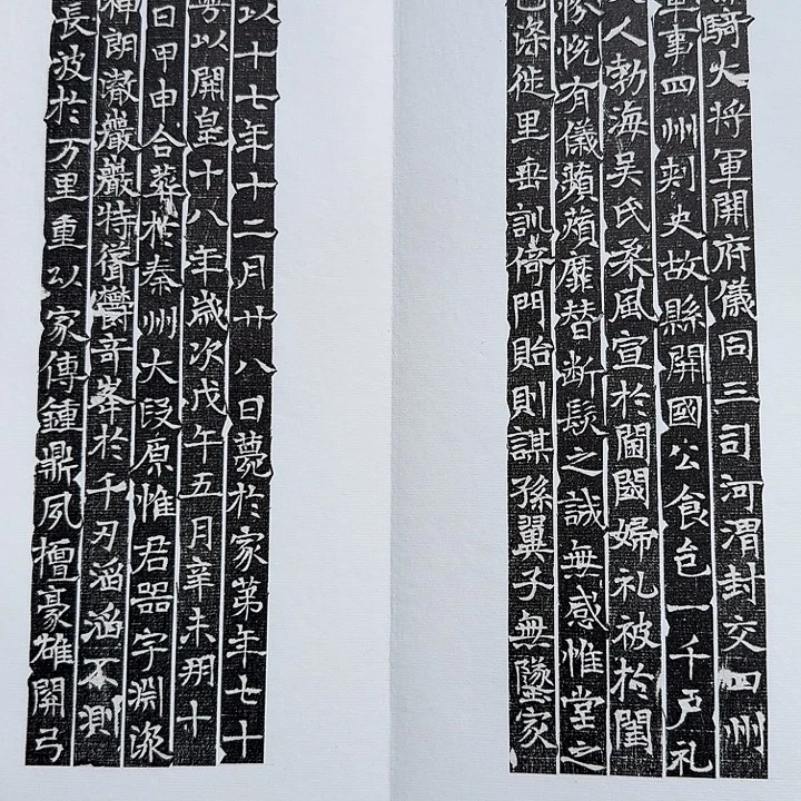 大***学印石昌化石田集册页1111111